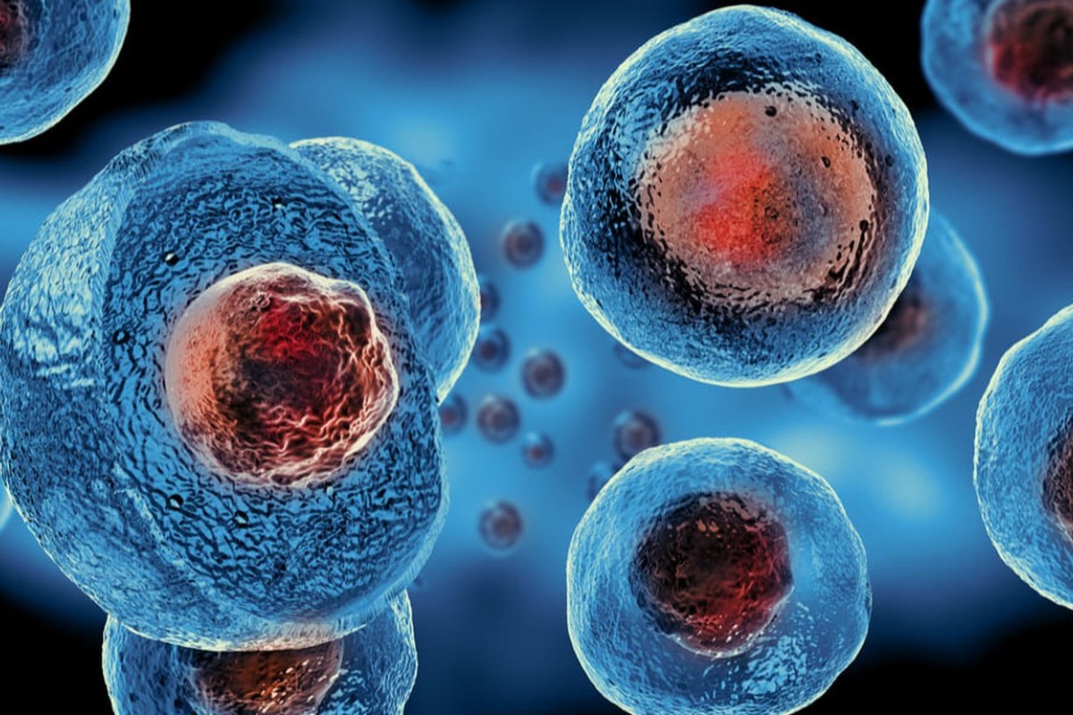 Células Tronco Hematopoieticas
