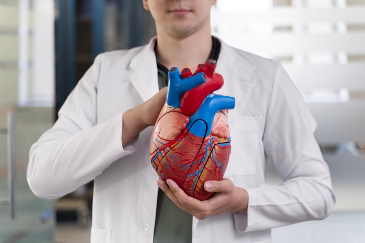 As 4 doenças Cardiovasculares que mais matam