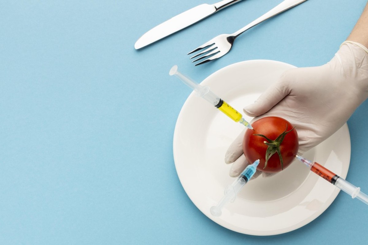 Desnutrição Hospitalar