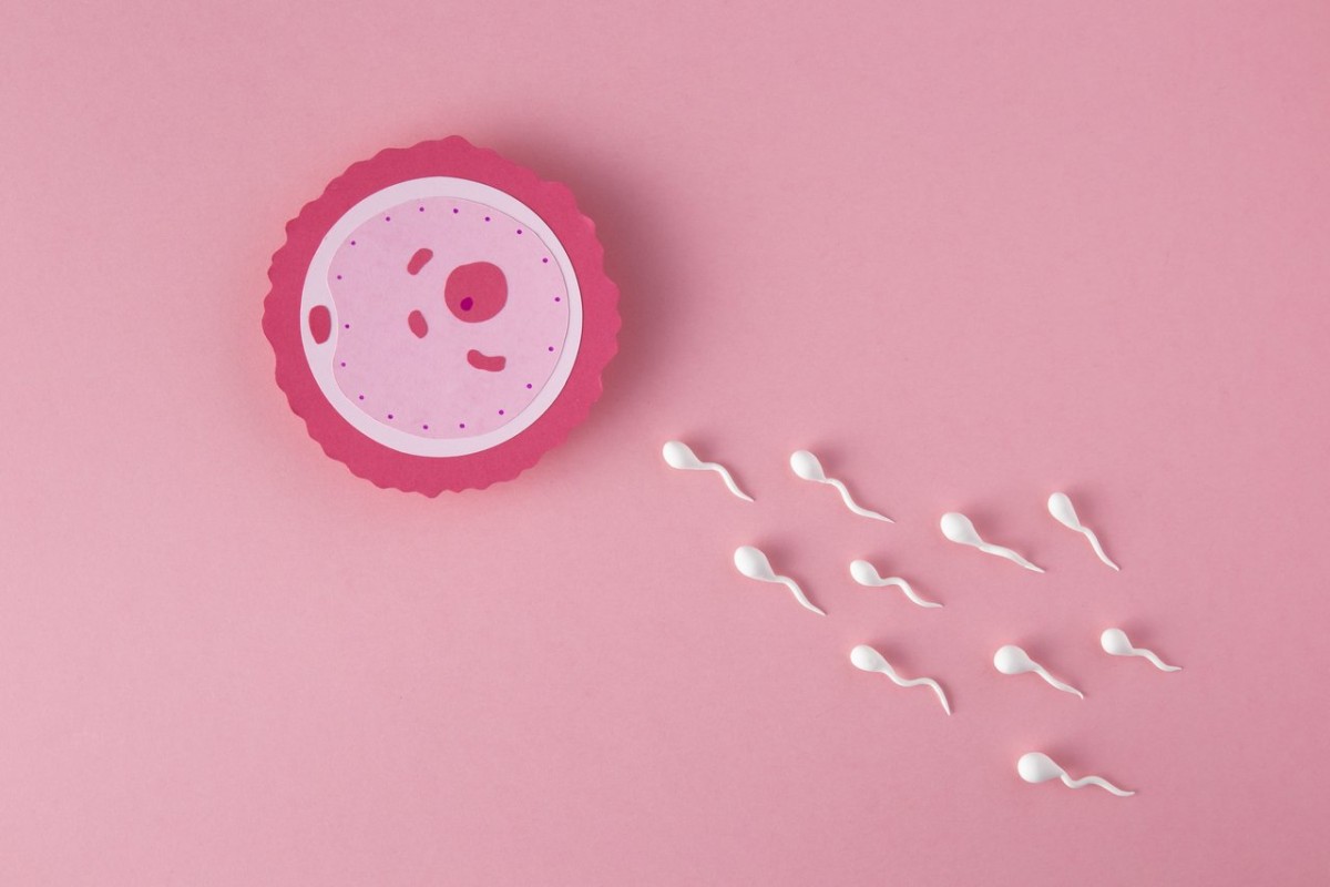 Cuidados que ajudam na preservação da fertilidade