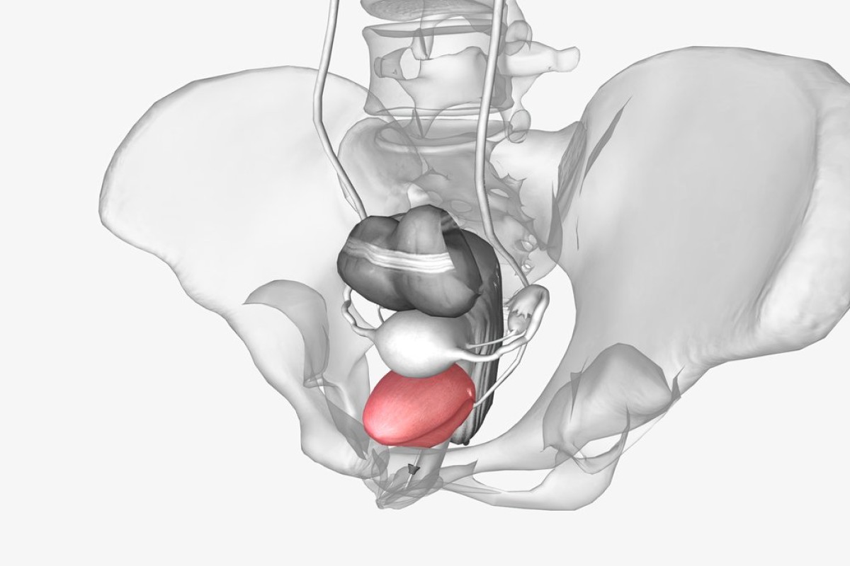 Terapia Focal
