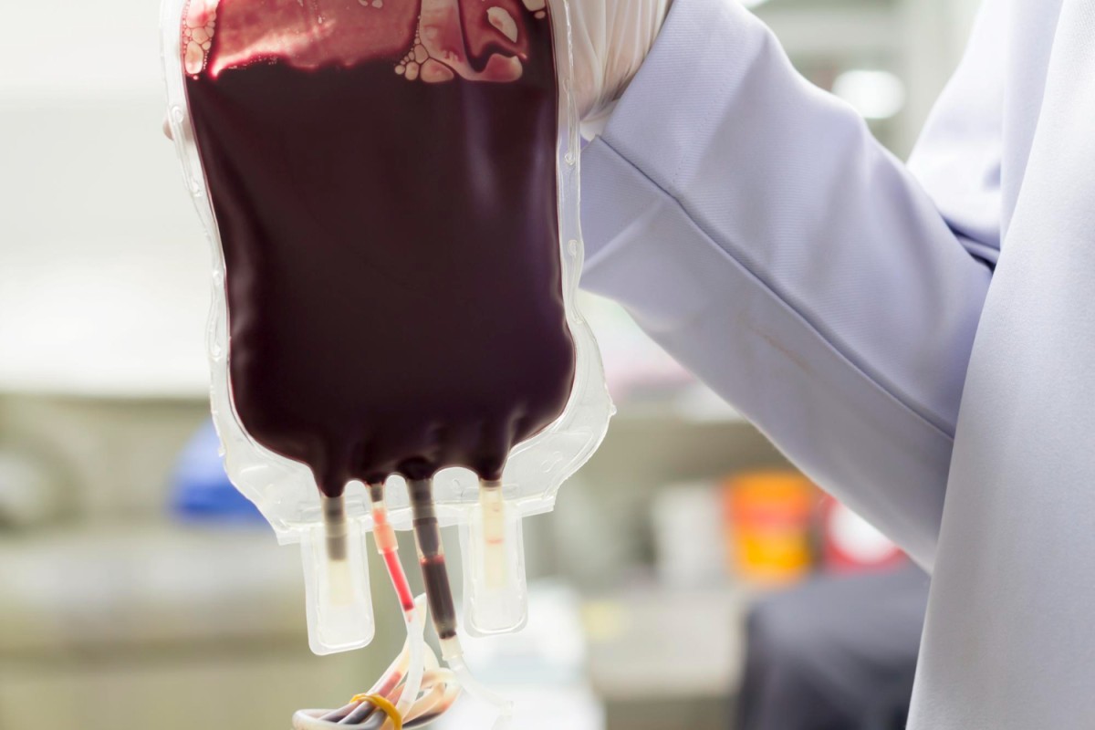 Doe sangue nesta Páscoa: GSH reforça campanha solidária e espalha amor