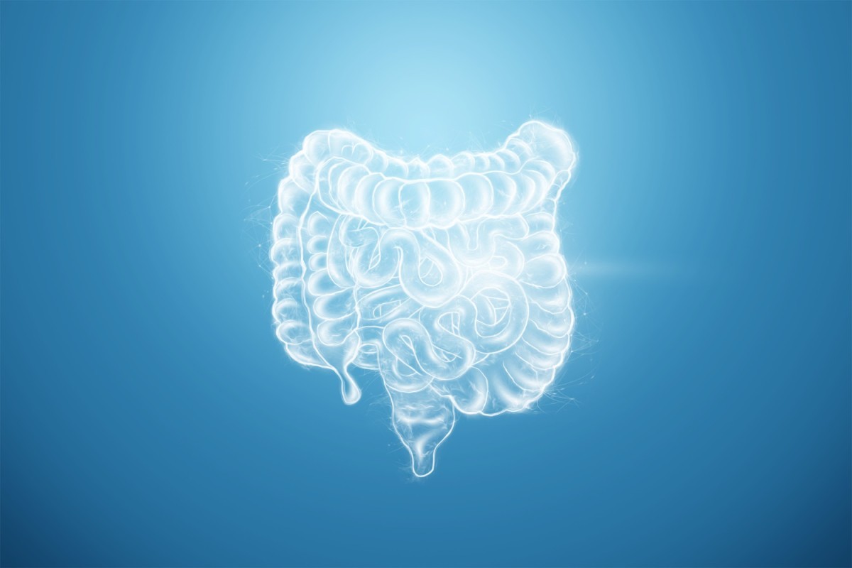 Maio Roxo: Doenças Inflamatórias Intestinais Afetam Mais de 5 Milhões de Pessoas no Mundo