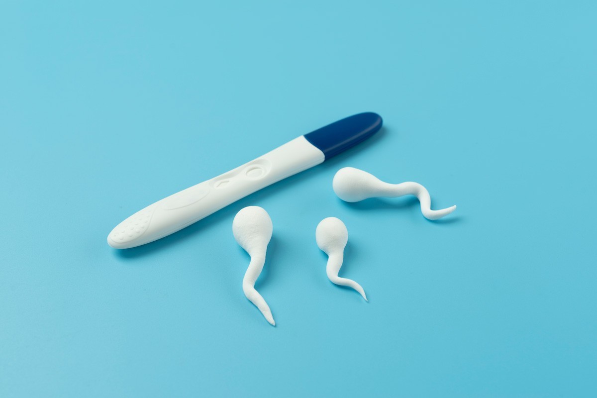 Investigação da fertilidade: como é feita e as principais causas da infertilidade
