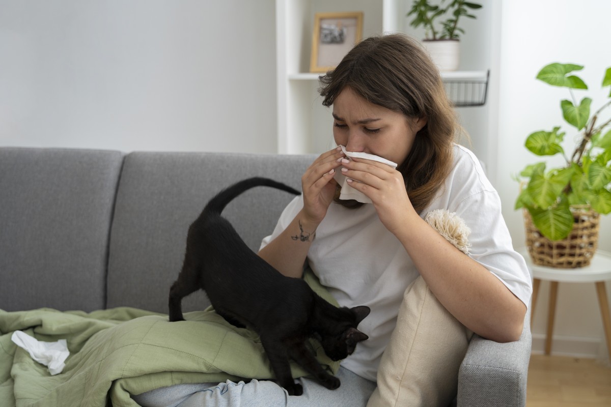 Alergia a Gatos: Mitos, Verdades e Estratégias para Conviver com a Condição