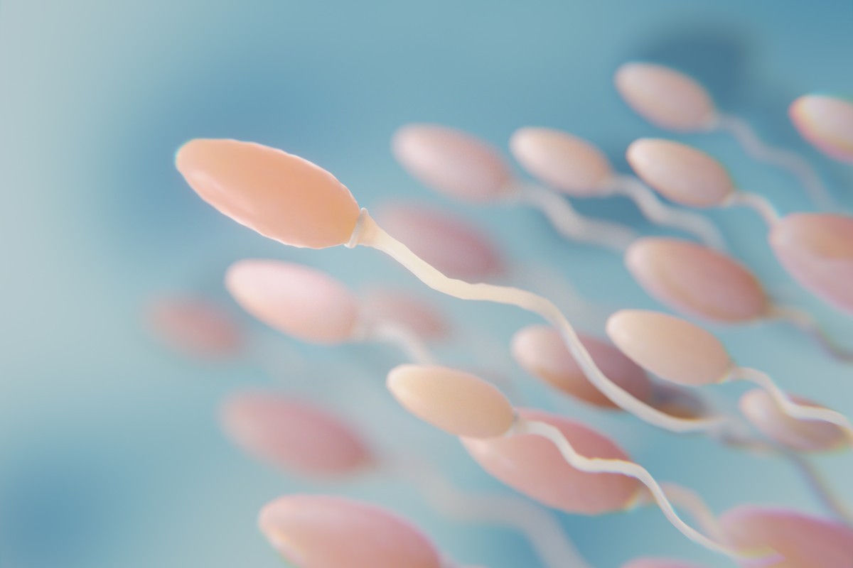 Congelamento de Sêmen: Entenda por que Mais Homens Estão Optando pelo Procedimento