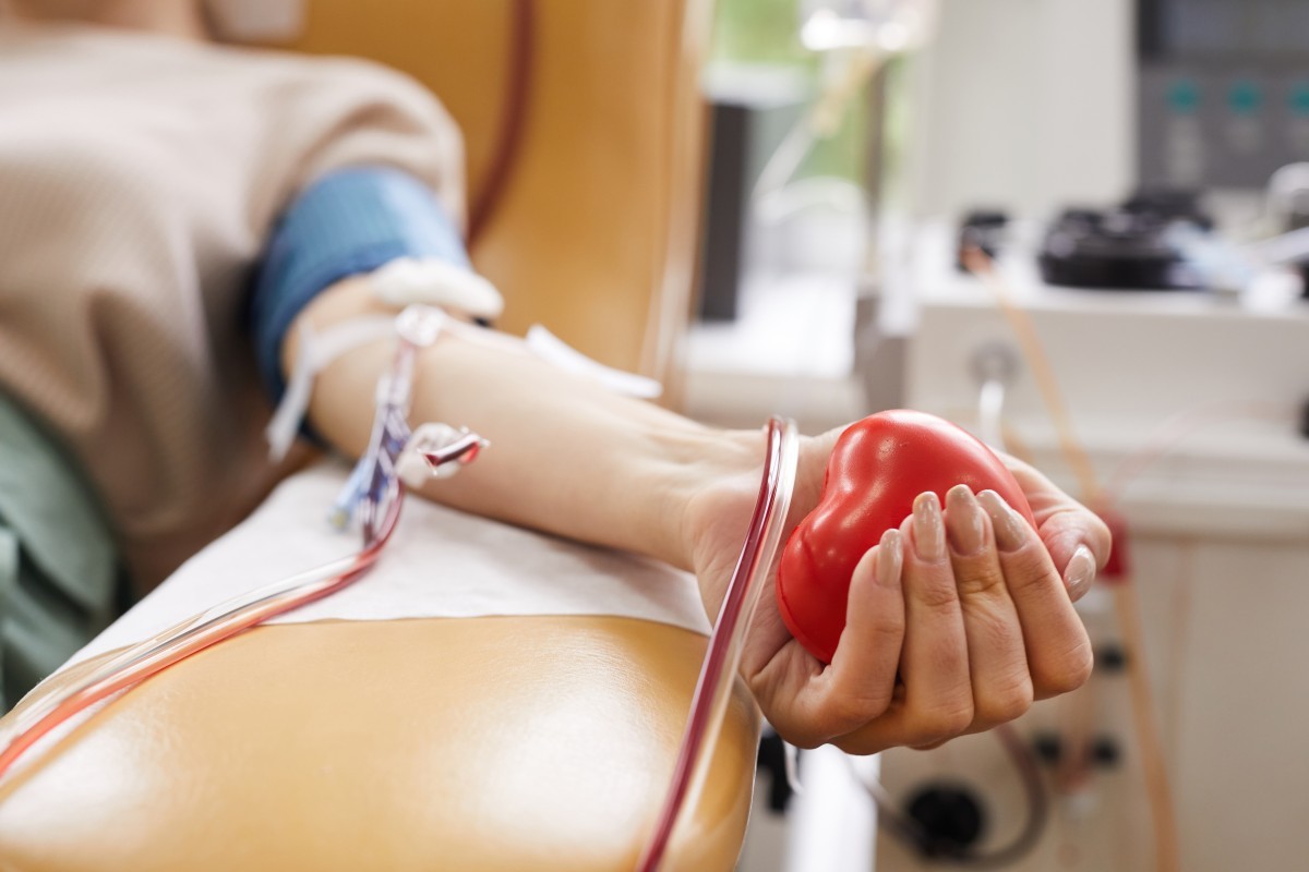 Doe Sangue no Carnaval: Banco de Sangue de SP Convoca Foliões para Ajudar a Salvar Vidas