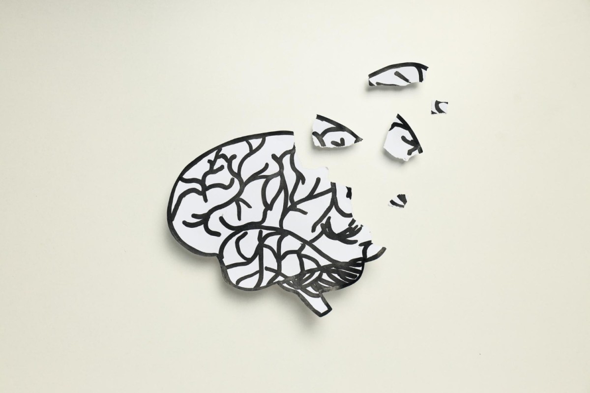 Alzheimer: Mitos e Verdades sobre a Doença que Mais Cresce no Mundo